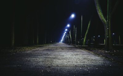 Portal zur Online 24/7 Störungsmeldung freigeschaltet –  neuer Bürgerservice für die Straßenbeleuchtung in Bitterfeld-Wolfen
